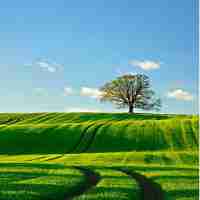 百﻿度﻿智﻿能‍创﻿作﻿平‍台​官﻿方‍网‌站‍下﻿载​